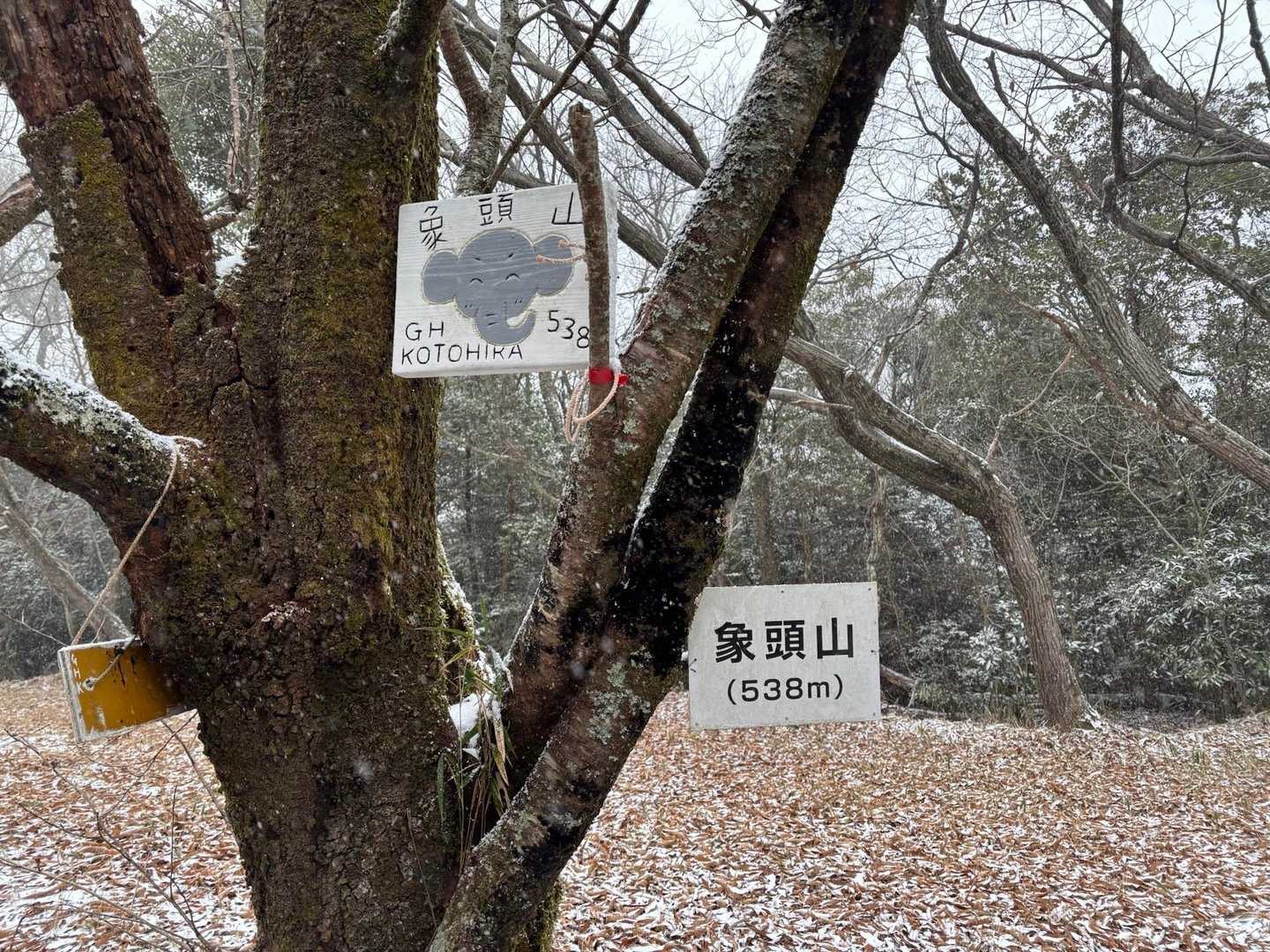 大麻山-象頭山 周回コースの写真
