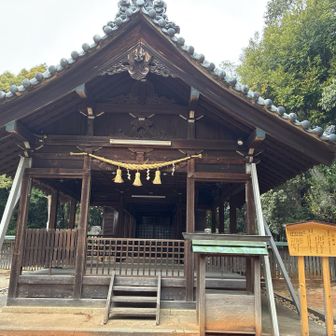久しぶりの山神社。