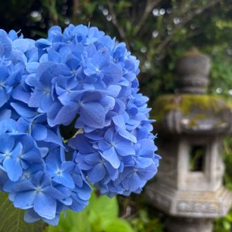 💙