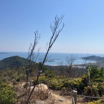 ②岩屋山（101m） 360°パノラマ 頂きました⛰️