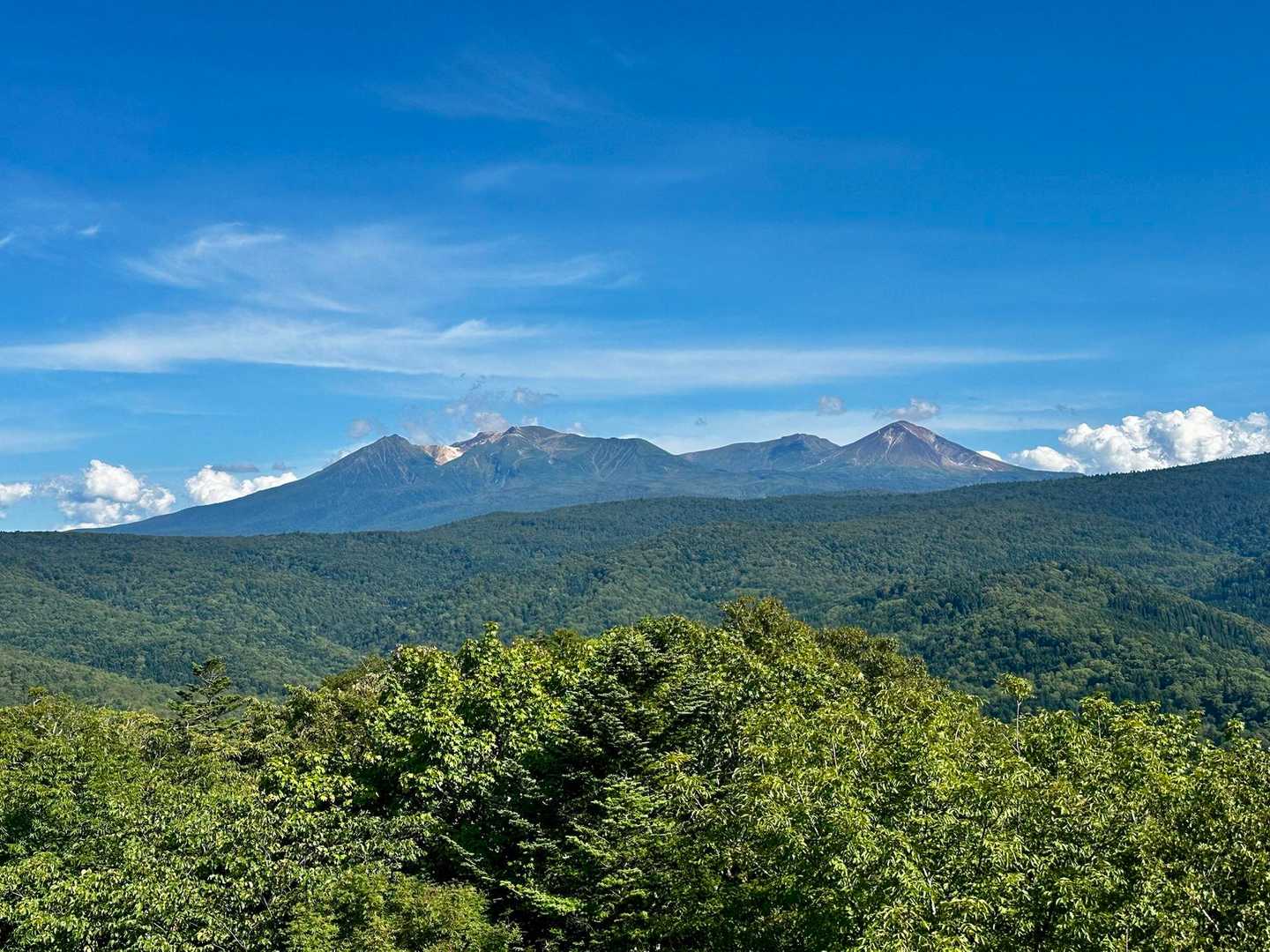 旭川市２１世紀の森森林学習展示館-中鶴根山 往復コースの写真
