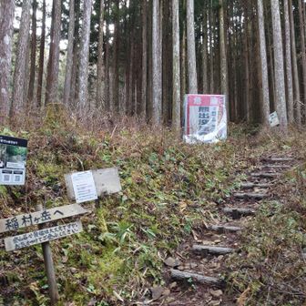 無事ゲザーン👏