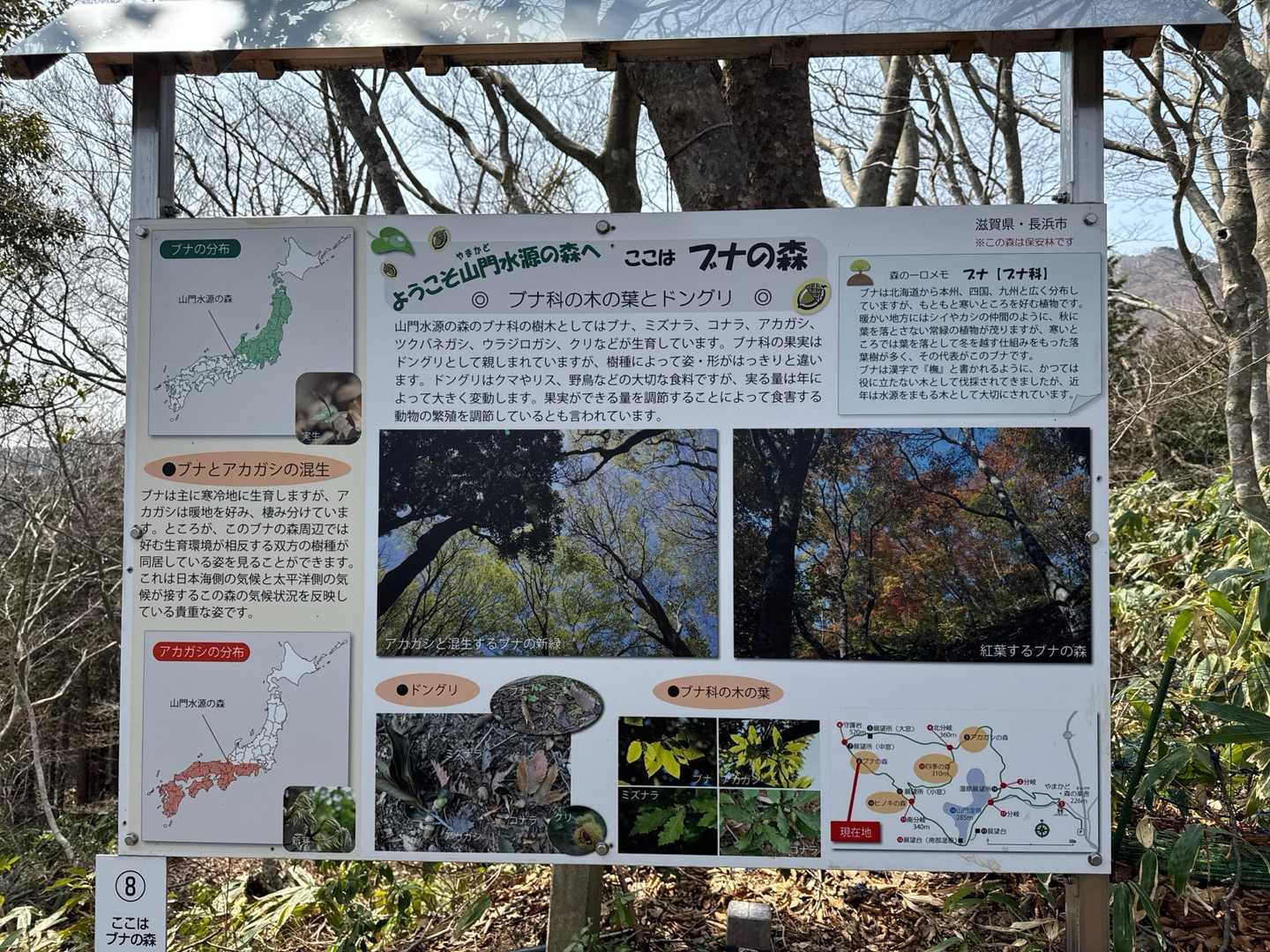 色んなところに看板、見どころを予習