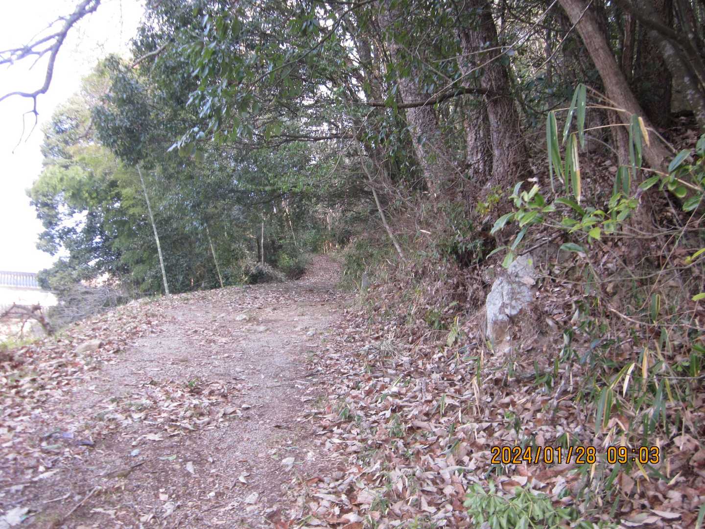 木野山神社-木野山 往復コースの写真