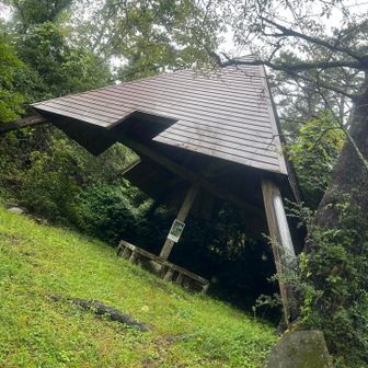 大きな東屋。蜘蛛の巣が占領してる。