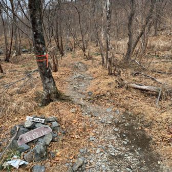 ここまで45分掛かりました。。