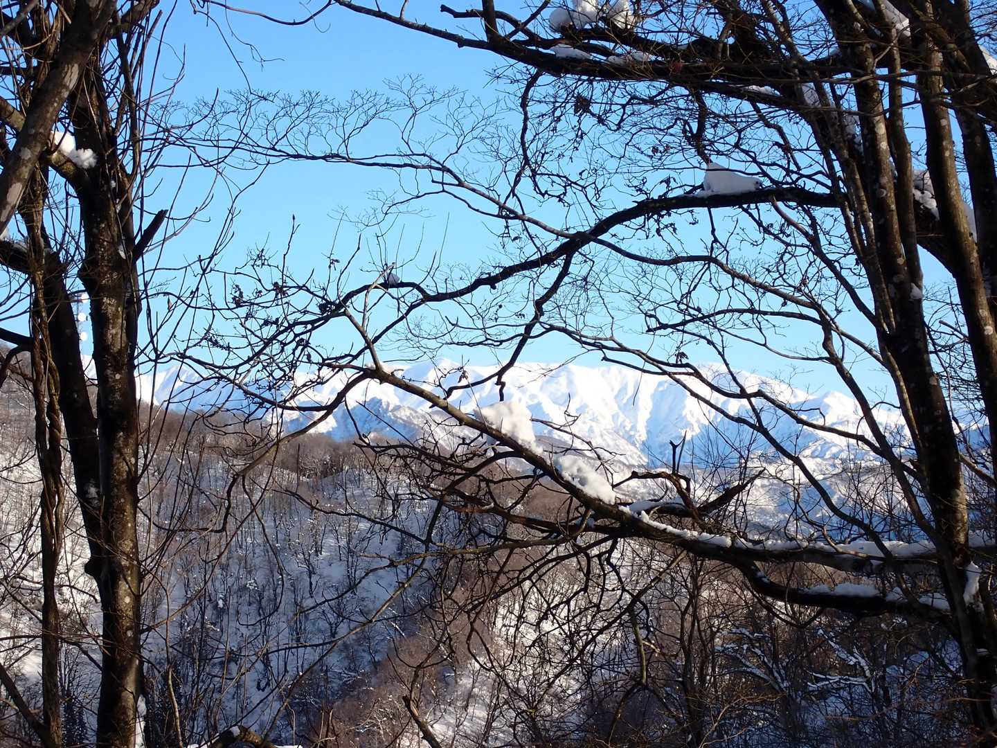 山頂へ向かう道からは飯豊連峰が光っている！