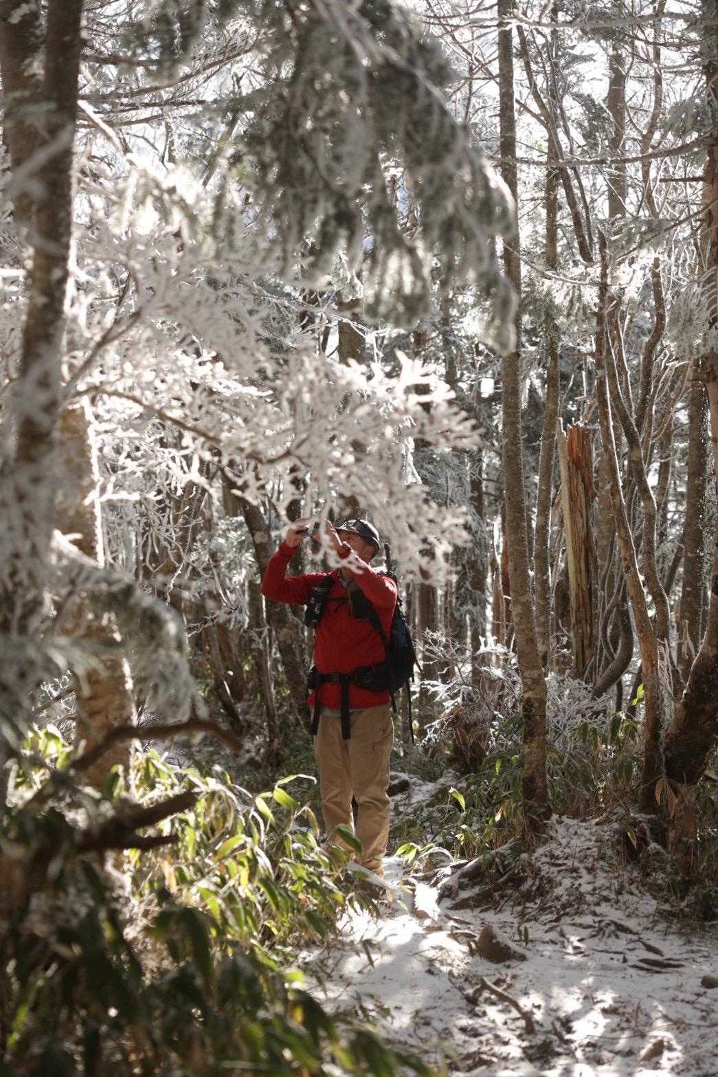 樹氷に彩られた『恵那山』 / ゆうたの登山データ | YAMAP / ヤマップ