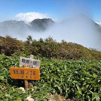 気合いで登りました…！