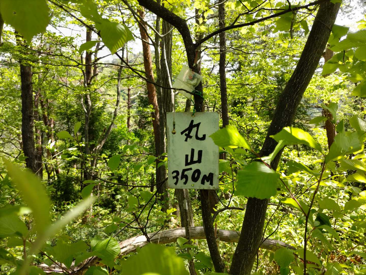 丸山山頂