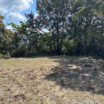 至山山頂は眺望無し。木の隙間から少し景色が見える程度。