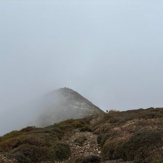 久住山頂まであと僅かですが👀