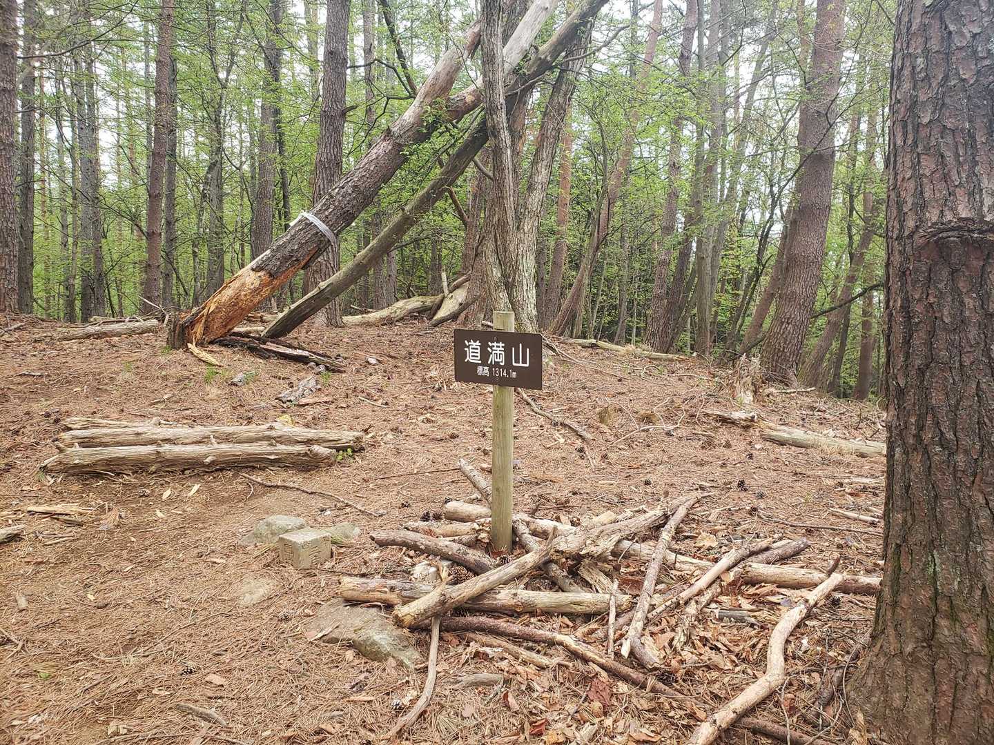 道満山⛰️
