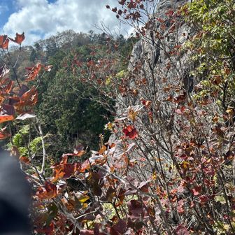 山頂への岩デカ!