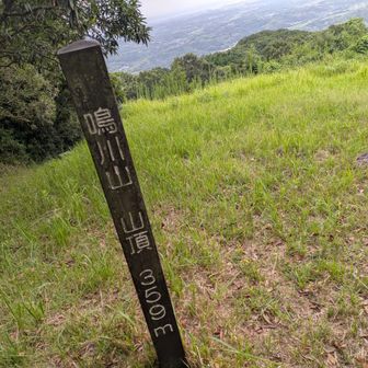で、三池山の締めは鳴川山到着、今日は夕日🌄の沈むのは見えそうに有りません
今年もコスモス畑になるのかな〜…後は下山帰宅🚶🚴‍♀️