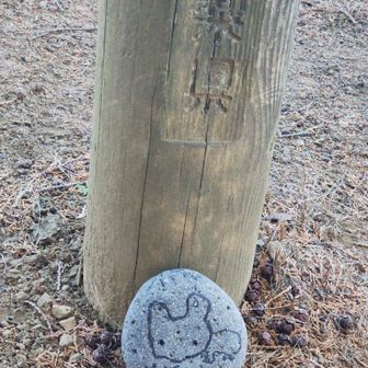 いつものお地蔵さん、、じゃない