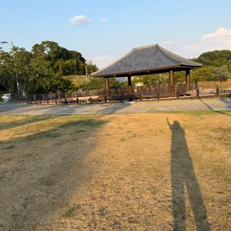 下りてきた🙌
夕方だなあ、影が長い