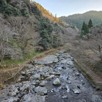 清滝まで戻ってきました
すっかり夕方