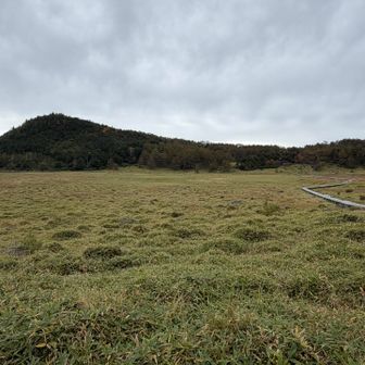 池ノ平湿原。