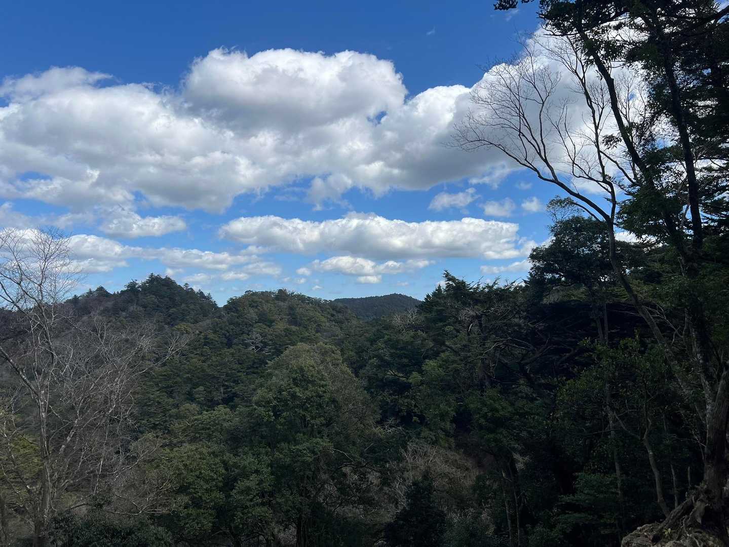 地蔵峠-元清澄山 往復コースの写真
