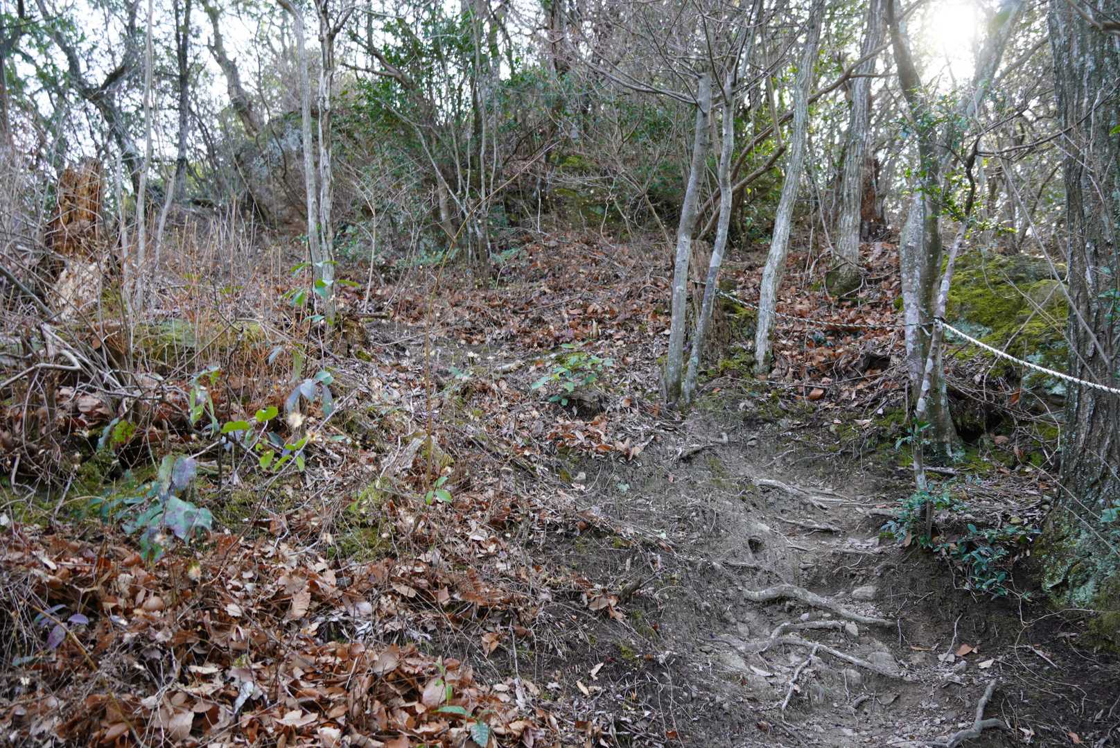 登りは左の岩場道から