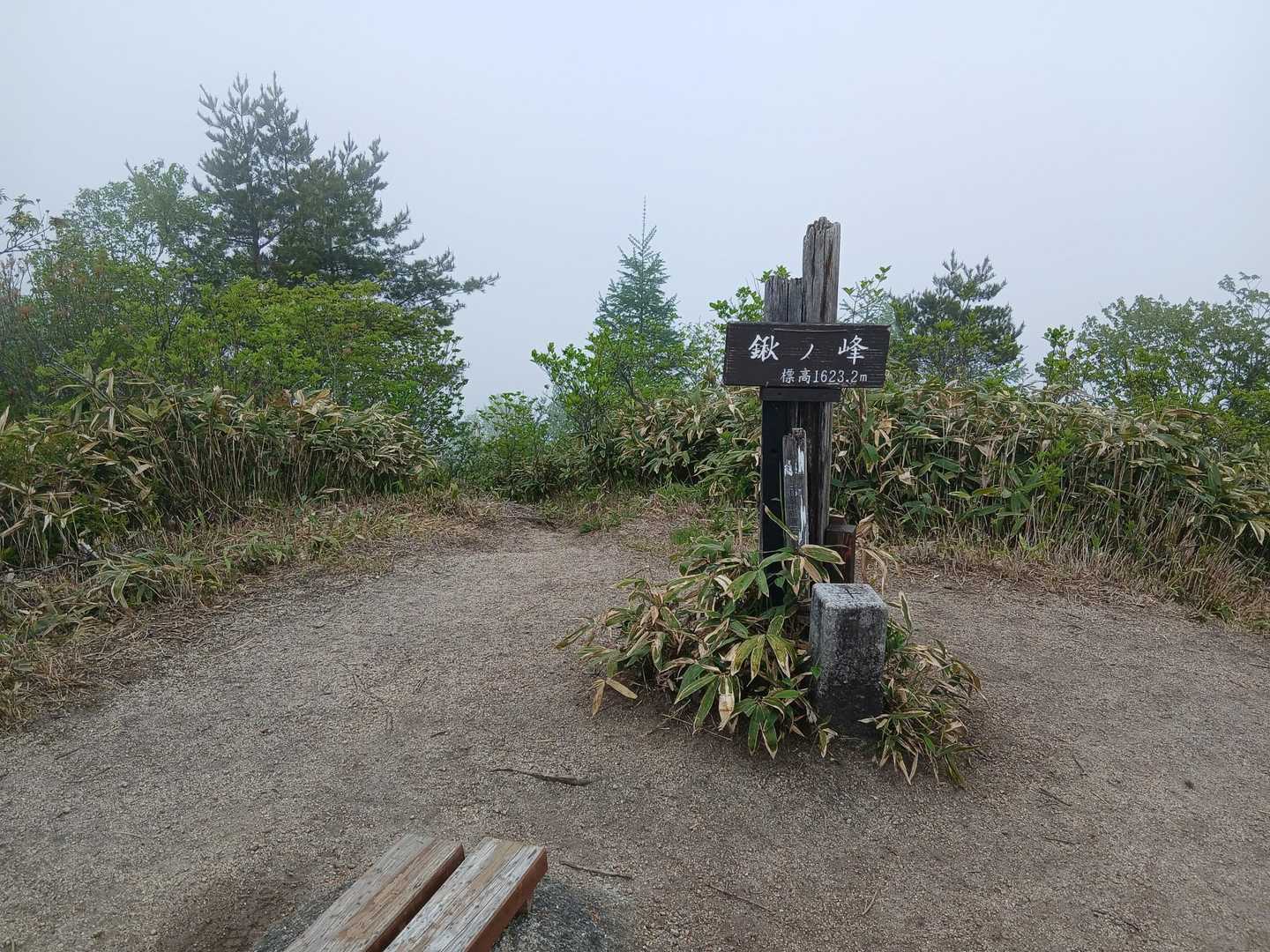 山頂
☔パラつきだしたので即下山