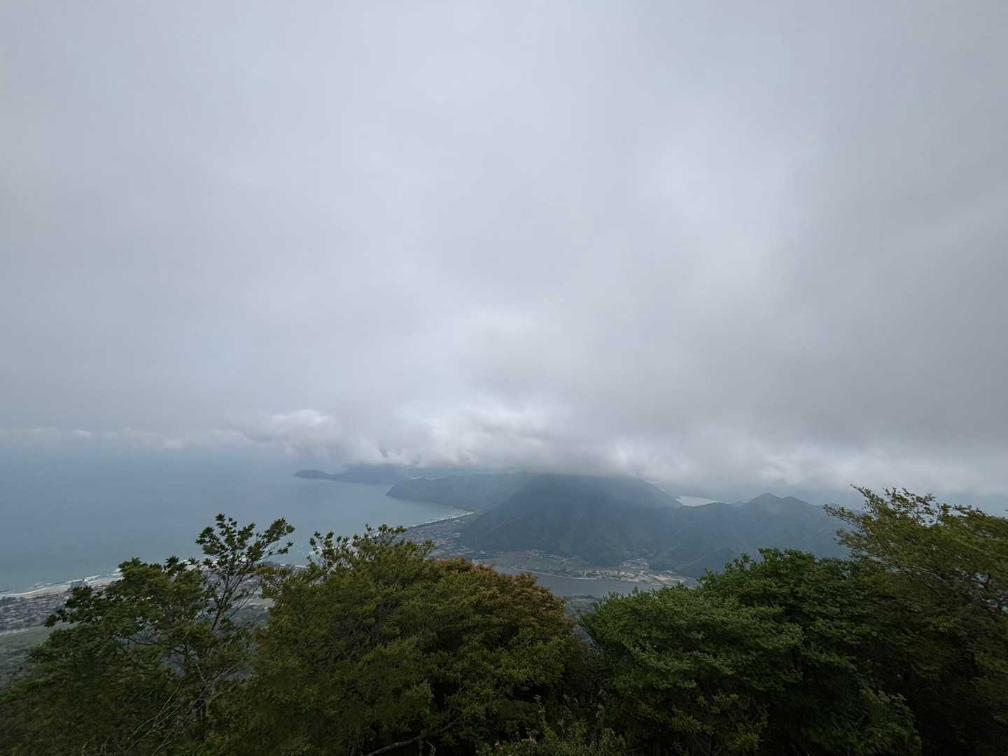 由良ヶ岳-由良ヶ岳 往復コースの写真