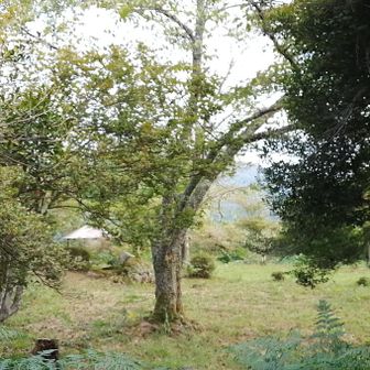 素晴らしい景色が待っている、と勝手に期待したワシが悪かった <(_ _)>
どうやら手入れの合間に来てしまったようだ．．．