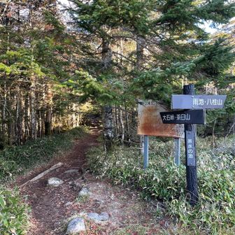 まずは茶臼山方面へ