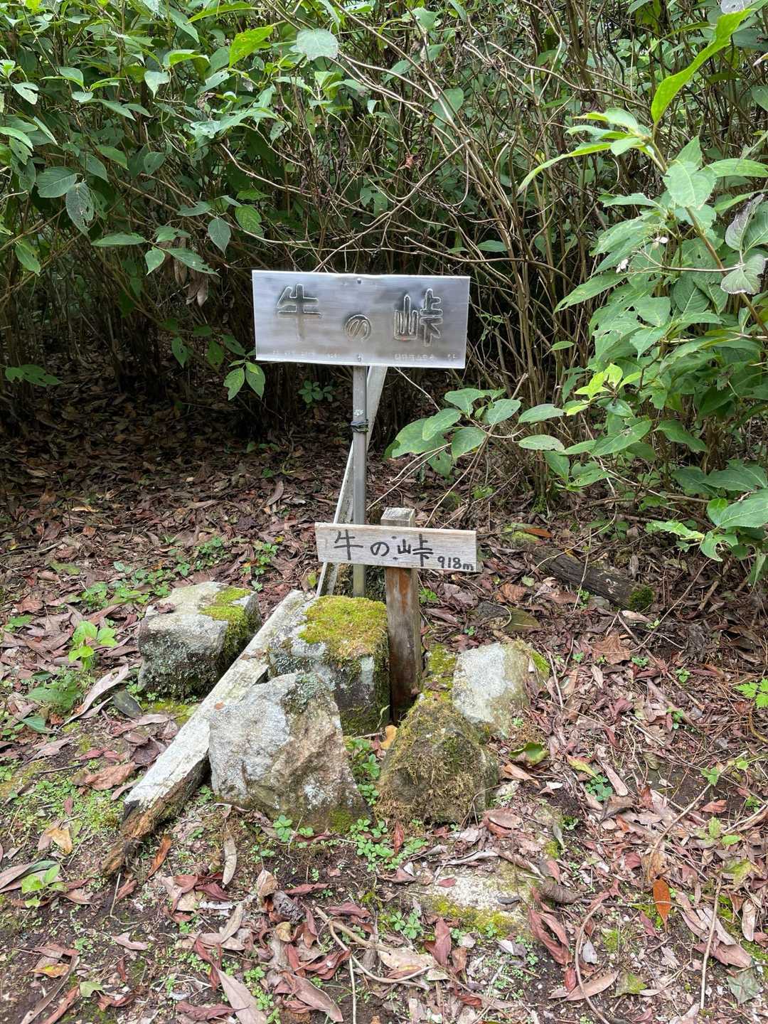 山頂は眺望なし。