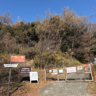 猪🐗などのフェンス