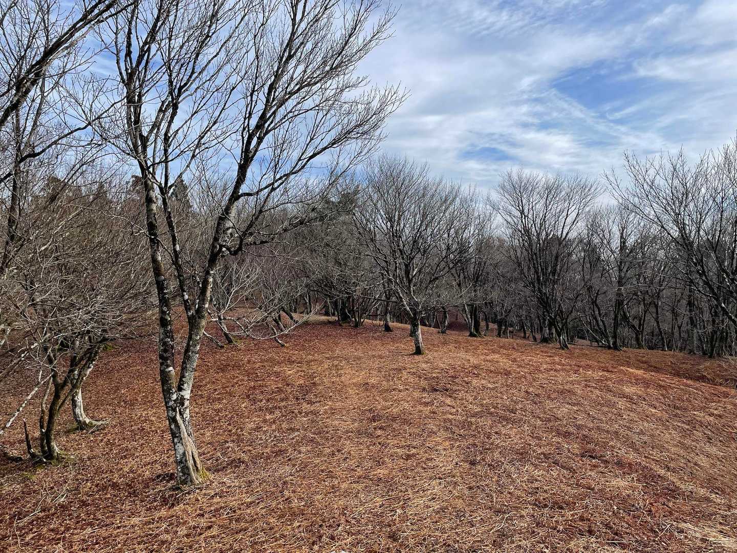 まずは岳の畑へ