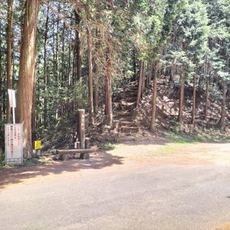 傘杉峠に着きました。
舗装路の奥武蔵２号線に出たら、横切って正面のルートを上がります。