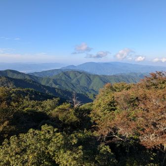 展望台より