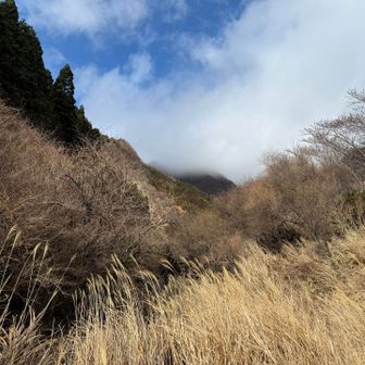 下山しても根子岳はまだ厚い雲の中〜