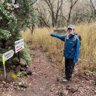 ここから飯盛ヶ城へ