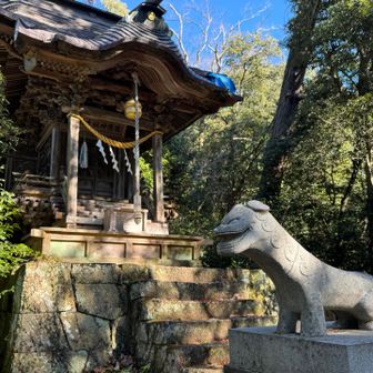 アジアっぽい狛犬