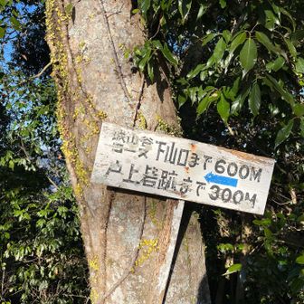 反対側にもコースがある
行かないけど