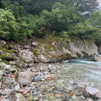 どこだかわからなくて迷っていたら後ろから人が来てわかりました！