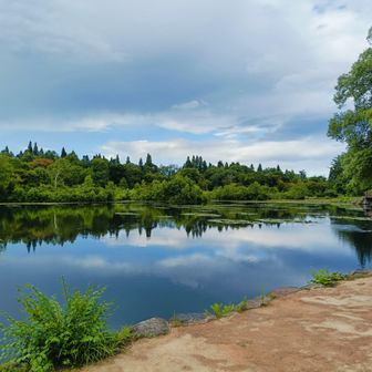 湖面の景色が美しい。