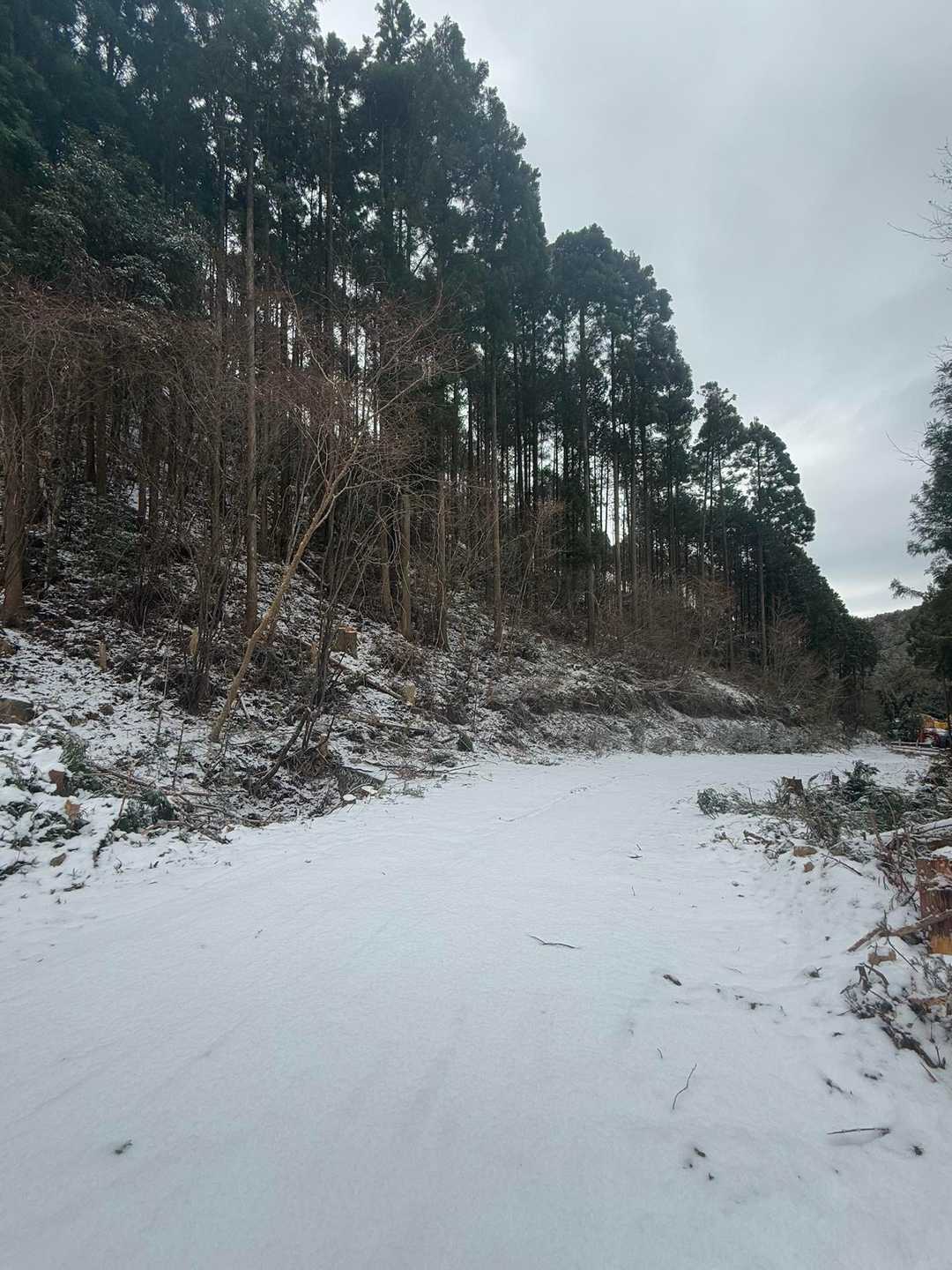駐車場🅿️に戻る林道は積雪5cmぐらい、所々で滑って転びそうになったが無事下山☺️

お疲れ様でした♫