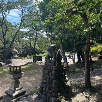 長い骨折療養でも 立ち上がってきました🤙🏻