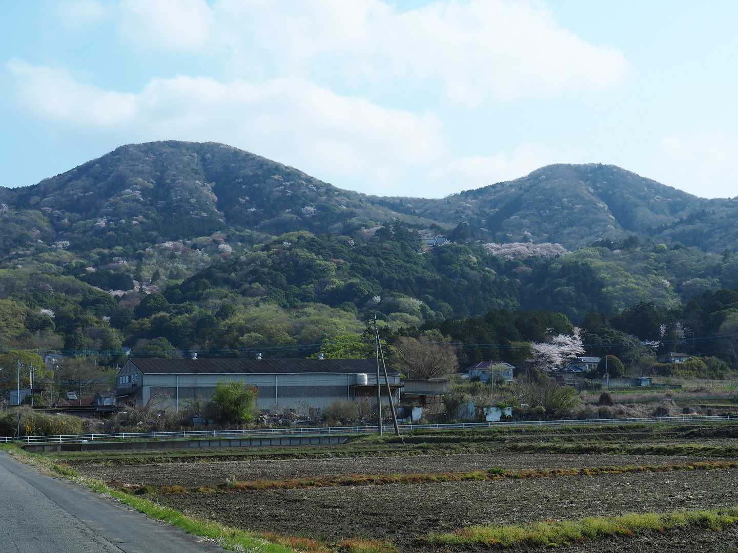 雨引観音バス停-雨引観音-燕山 往復コースの写真