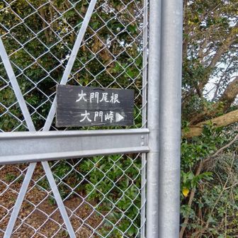 安心してください。フェンス脇を抜けます