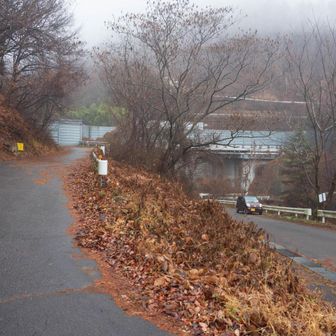 石の鳥居あたりから雨。リスの雲海と登ってよかった