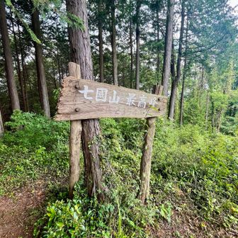 七国山、山頂に到着。見晴らしはないです