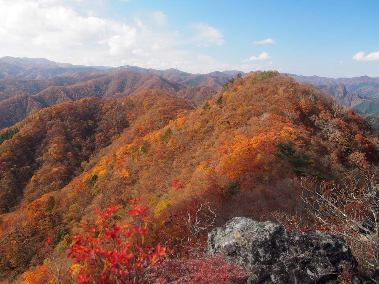 錦繍の山肌🍁