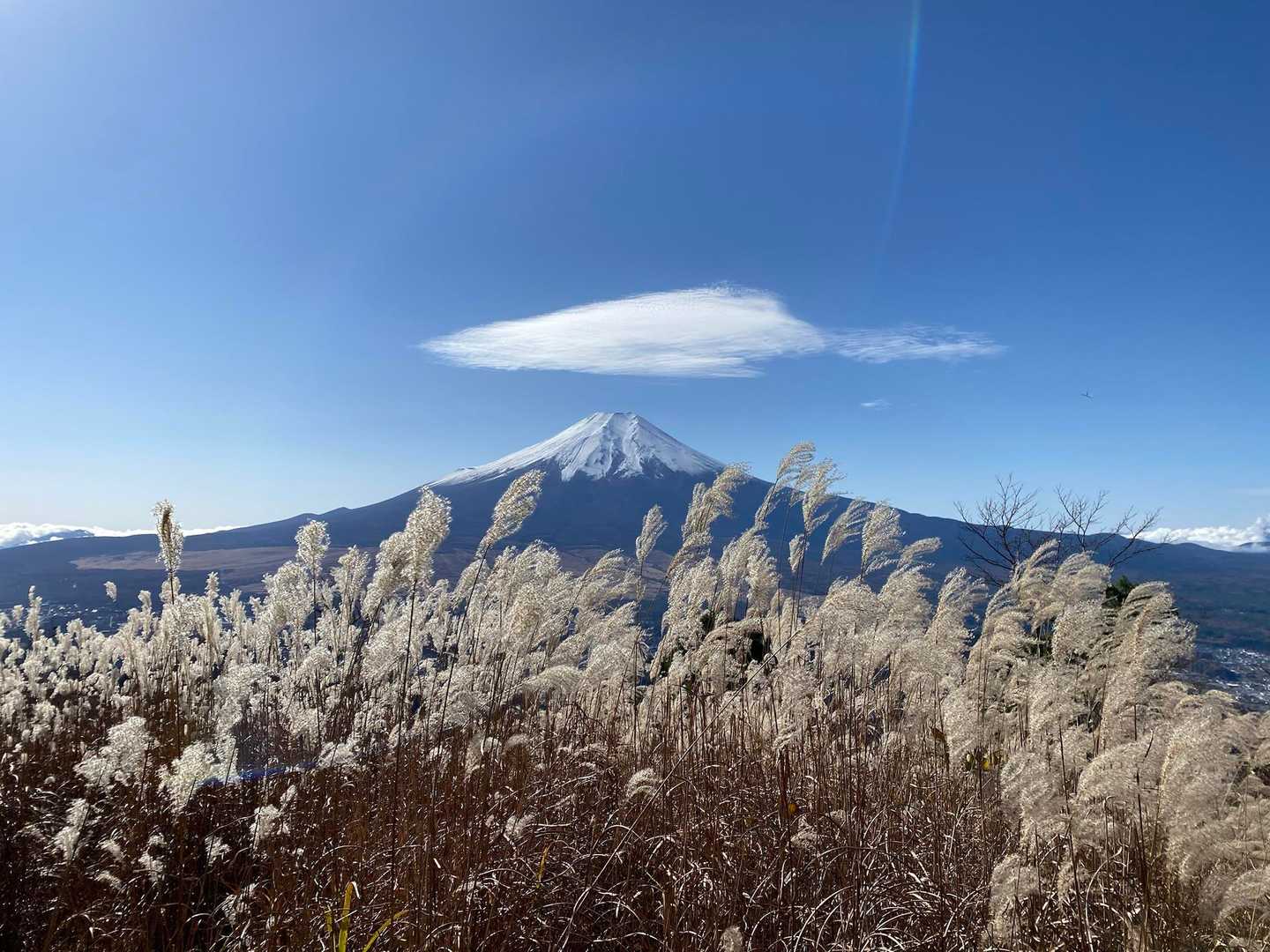 不動湯～鳥居地峠～高座山～杓子山～不動湯の写真