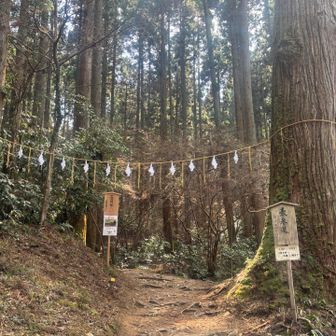 多くの方が登ってきていました
バッチリ登山スタイル親子は恥ずかしい💦