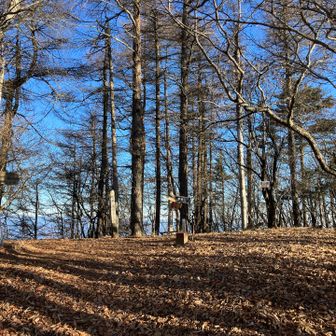 気持ちの良い山歩き🏔️